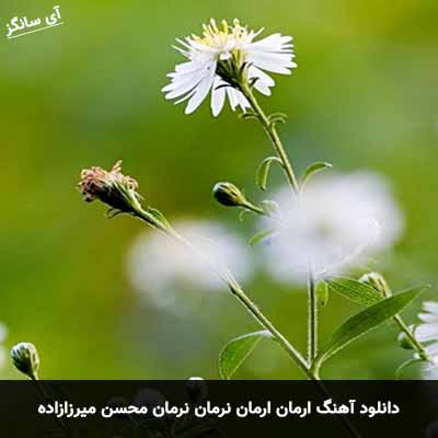 دانلود آهنگ ارمان ارمان نرمان نرمان محسن میرزازاده